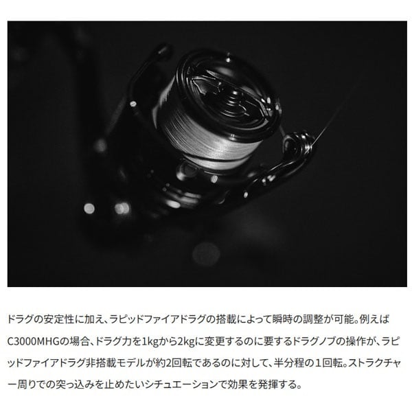 25エクスセンス